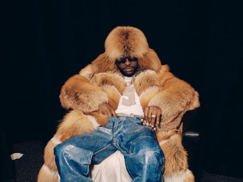 Scorpion Kings Unlocks Davido As The Final Surprise Act