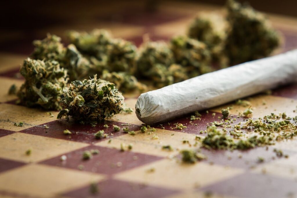 Is weed really that bad?, EntertainmentSA News South Africa